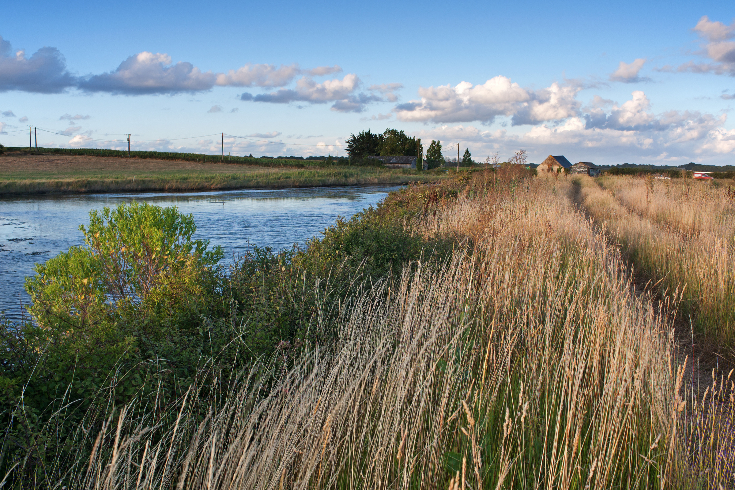Feldweg zum Bauernhof